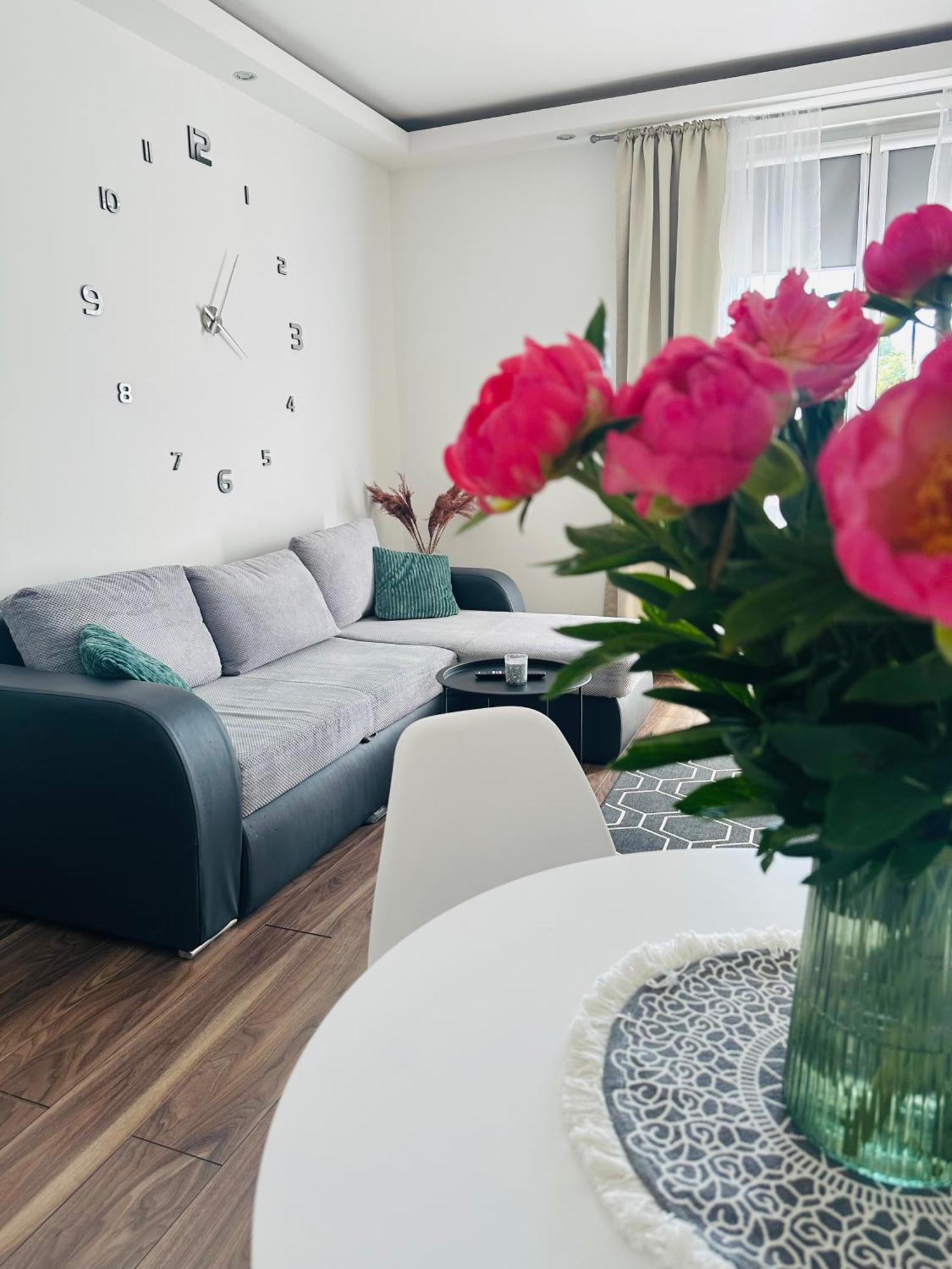 City Apartment Czestochowa Centrum 2-Bedroom Luaran gambar